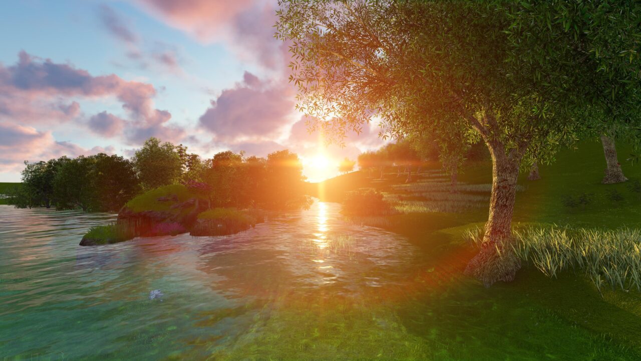 beach sunset with trees