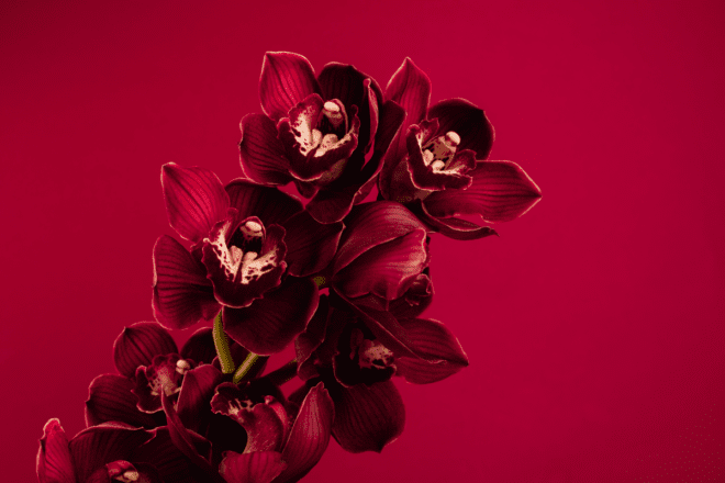 GettyImages 1338957392 1200x800 9b9f185